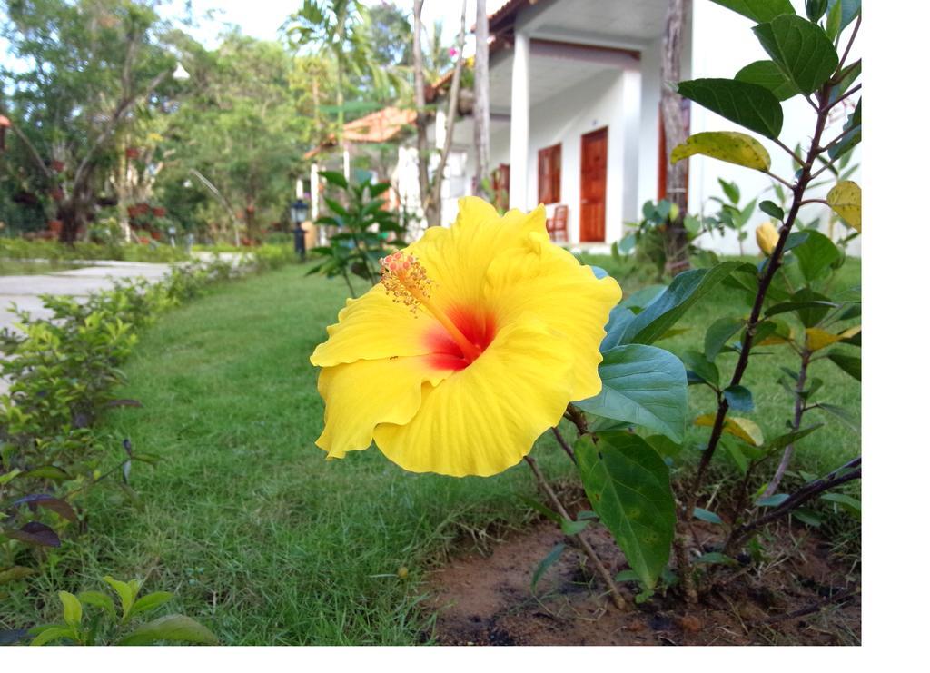 Highland Bungalow Phú Quốc-sziget Kültér fotó
