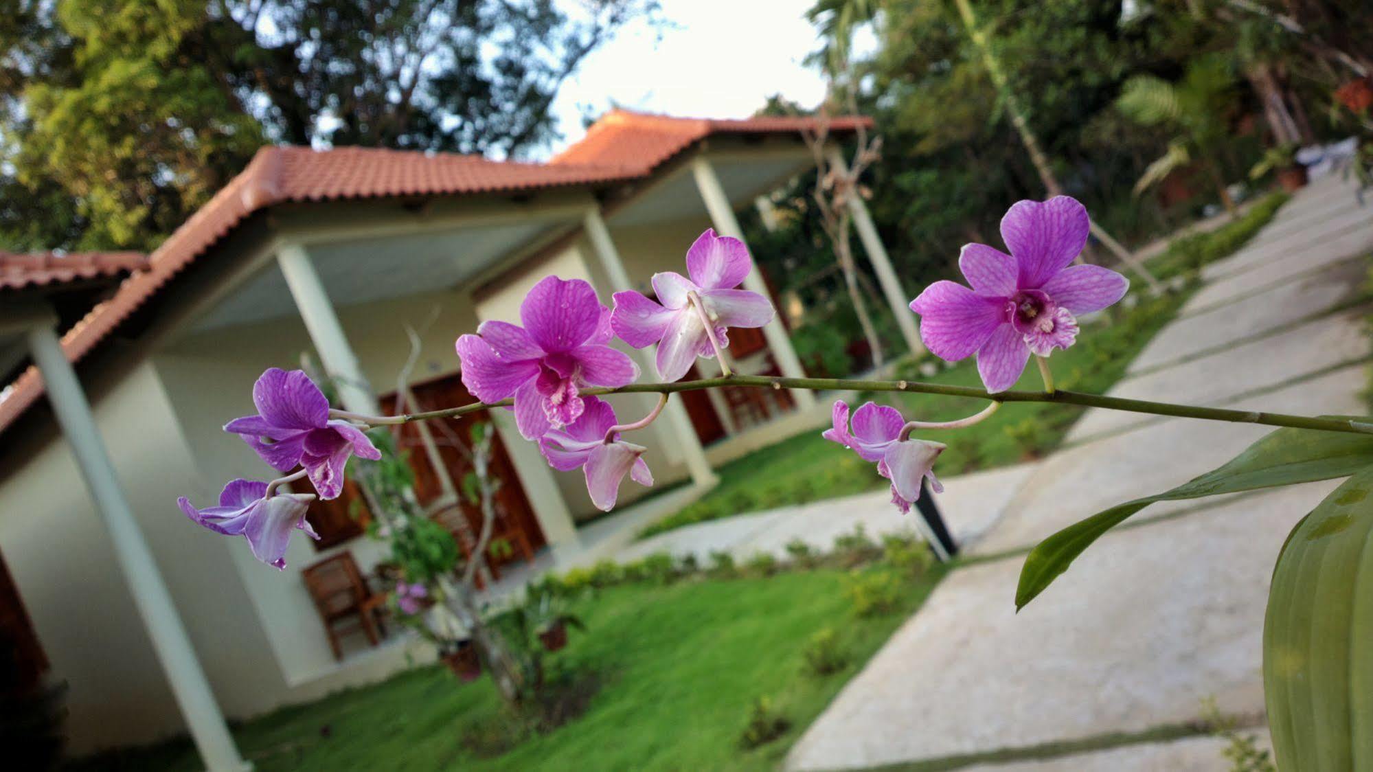 Highland Bungalow Phú Quốc-sziget Kültér fotó